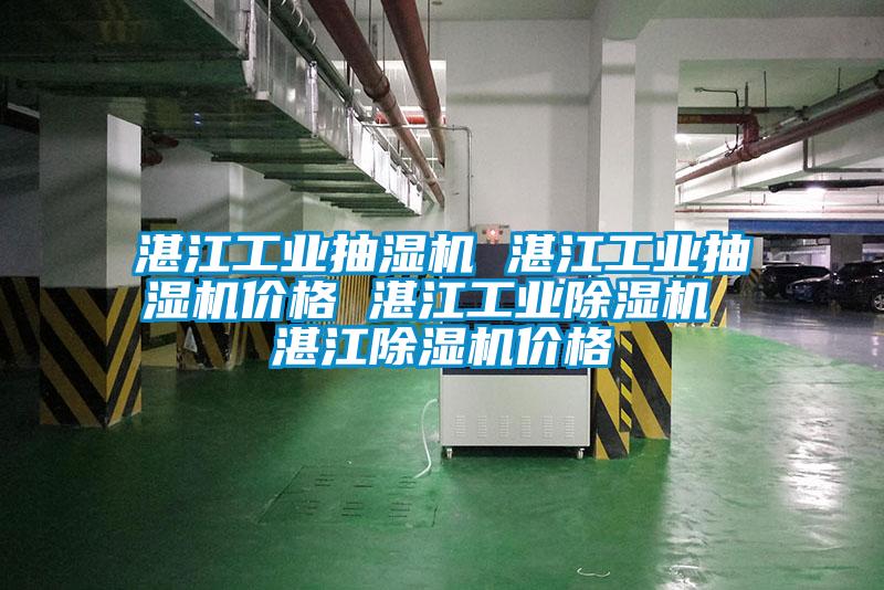 湛江工业抽湿机 湛江工业抽湿机价格 湛江星空娱乐彩票是什么网站 湛江除湿机价格