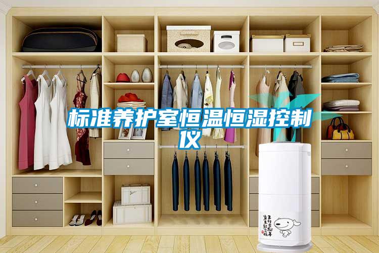 标准养护室恒温恒湿控制仪