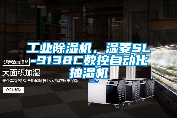 星空娱乐彩票是什么网站，湿菱SL-9138C数控自动化抽湿机