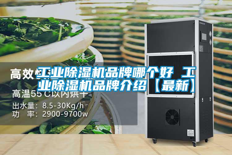星空娱乐彩票是什么网站品牌哪个好 星空娱乐彩票是什么网站品牌介绍【最新】