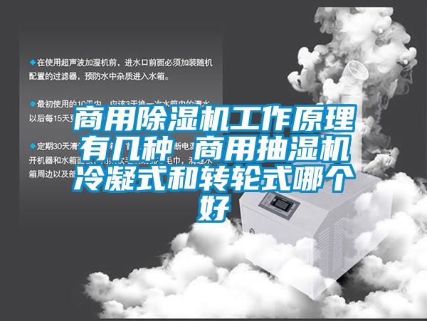 星空app官网下载手机版工作原理有几种 商用抽湿机冷凝式和转轮式哪个好