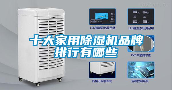 十大星空体育app官网品牌排行有哪些