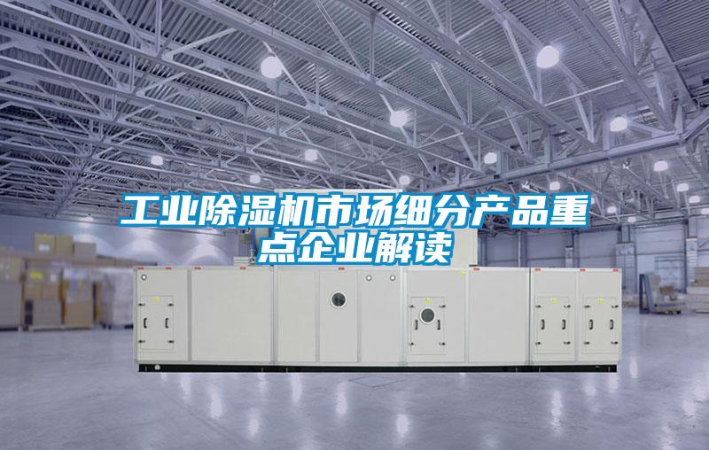 星空娱乐彩票是什么网站市场细分产品重点企业解读