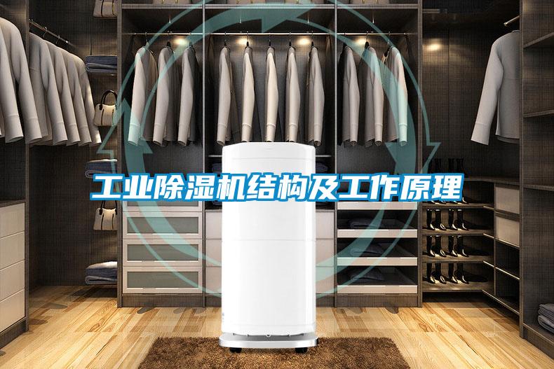 星空娱乐彩票是什么网站结构及工作原理