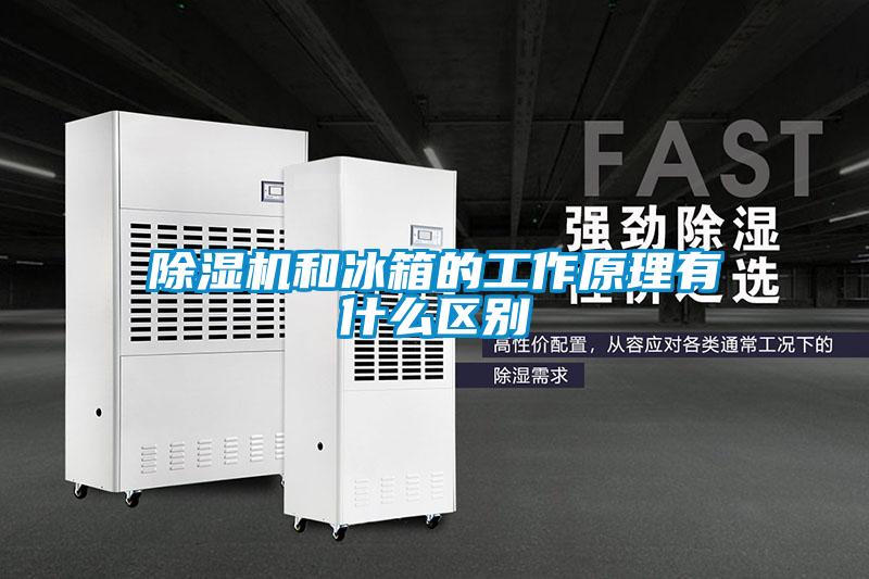 除湿机和冰箱的工作原理有什么区别