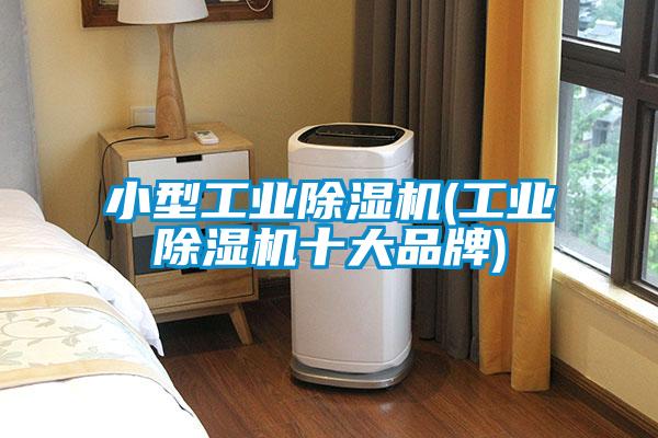 小型星空娱乐彩票是什么网站(星空娱乐彩票是什么网站十大品牌)