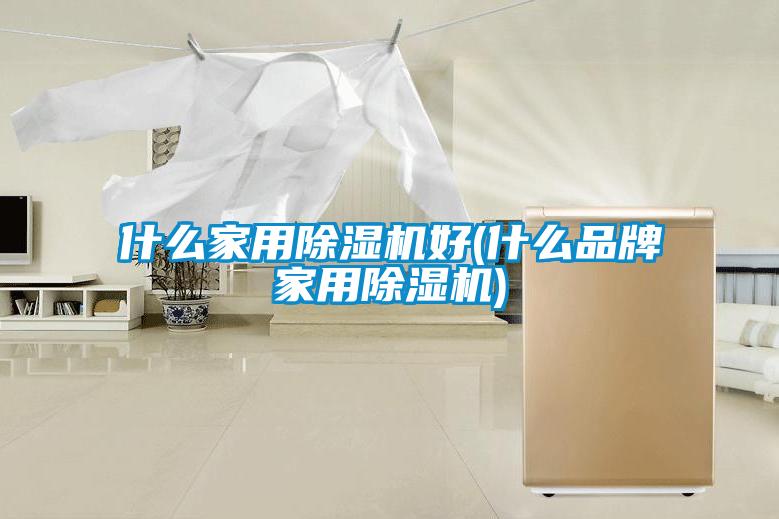 什么星空体育app官网好(什么品牌星空体育app官网)