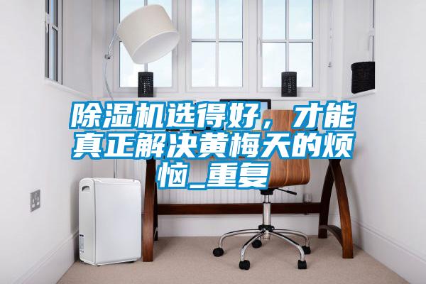除湿机选得好，才能真正解决黄梅天的烦恼_重复