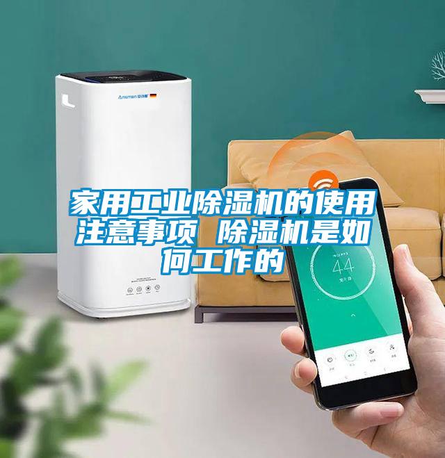 家用星空娱乐彩票是什么网站的使用注意事项 除湿机是如何工作的