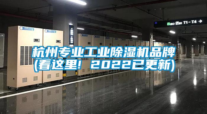 杭州专业星空娱乐彩票是什么网站品牌(看这里! 2022已更新)