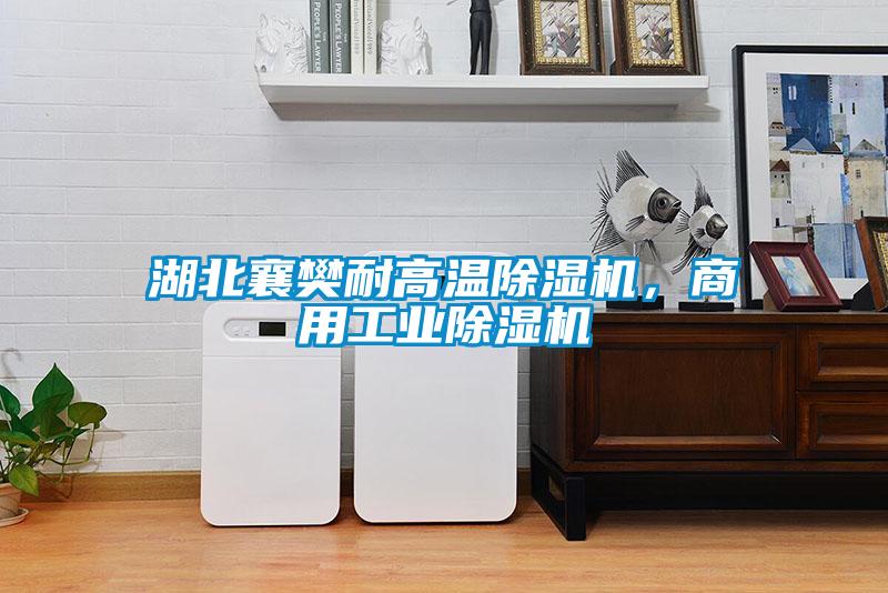 湖北襄樊耐高温除湿机，商用星空娱乐彩票是什么网站