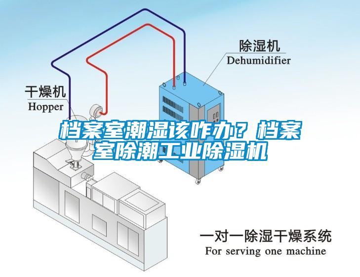 档案室潮湿该咋办？档案室除潮星空娱乐彩票是什么网站