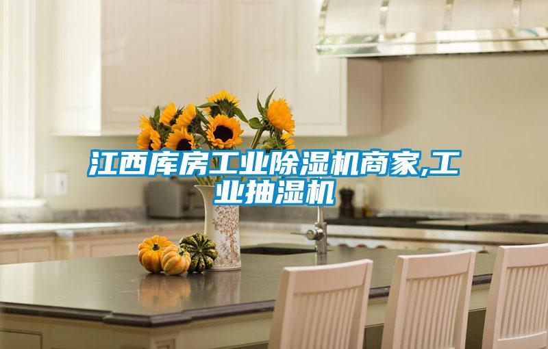 江西库房星空娱乐彩票是什么网站商家,工业抽湿机