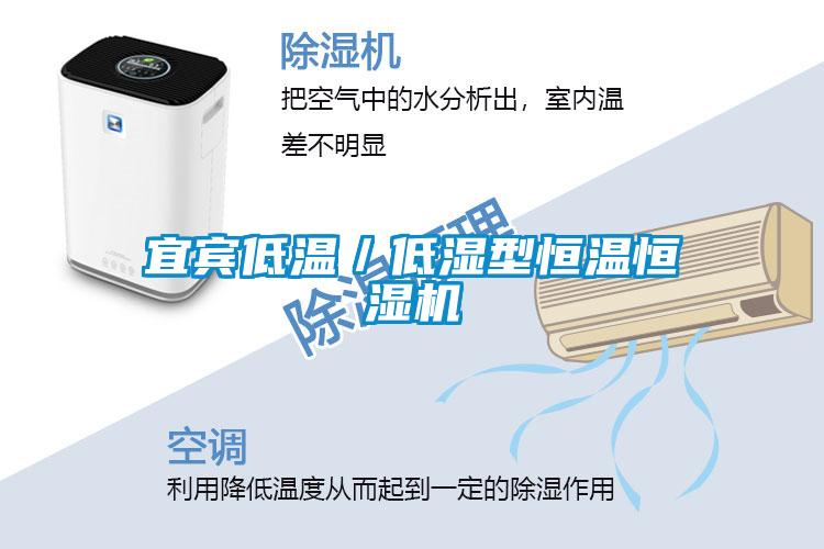 宜宾低温／低湿型恒温恒湿机