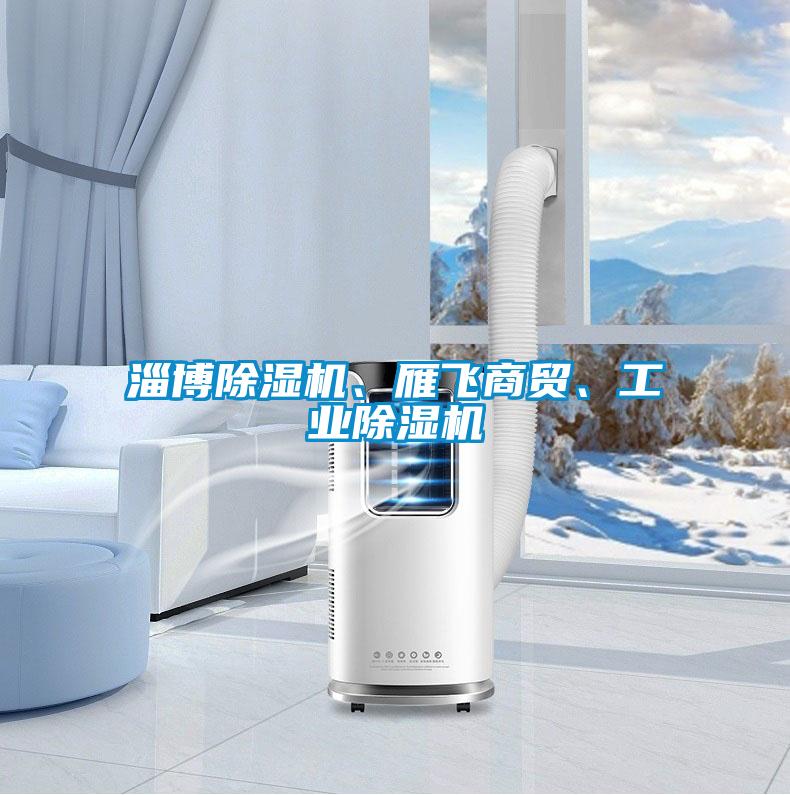 淄博除湿机、雁飞商贸、星空娱乐彩票是什么网站
