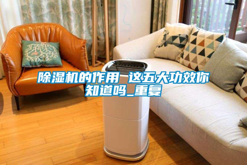 除湿机的作用 这五大功效你知道吗_重复