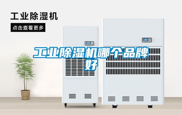 星空娱乐彩票是什么网站哪个品牌好