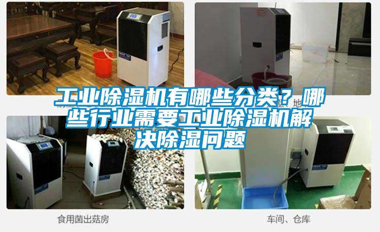 星空娱乐彩票是什么网站有哪些分类？哪些行业需要星空娱乐彩票是什么网站解决除湿问题