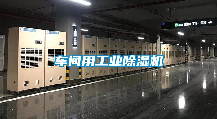 车间用星空娱乐彩票是什么网站