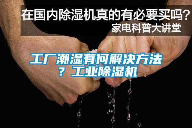 工厂潮湿有何解决方法？星空娱乐彩票是什么网站