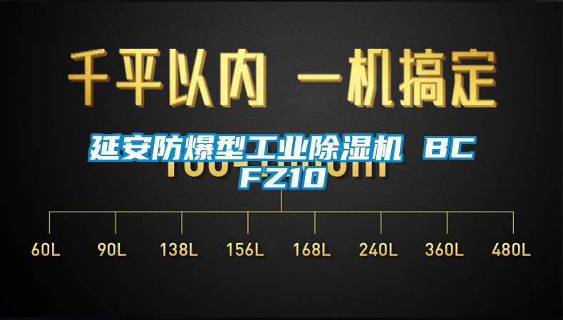 延安防爆型星空娱乐彩票是什么网站 BCFZ10