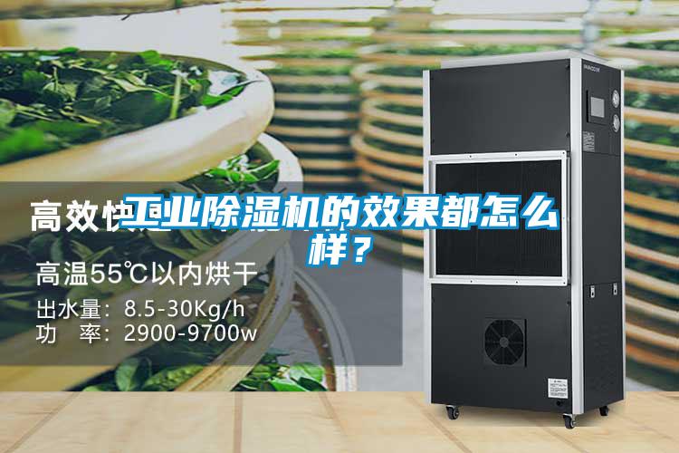 星空娱乐彩票是什么网站的效果都怎么样？