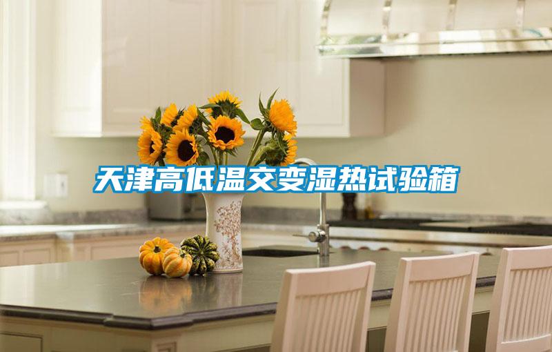 天津高低温交变湿热试验箱