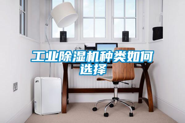 星空娱乐彩票是什么网站种类如何选择