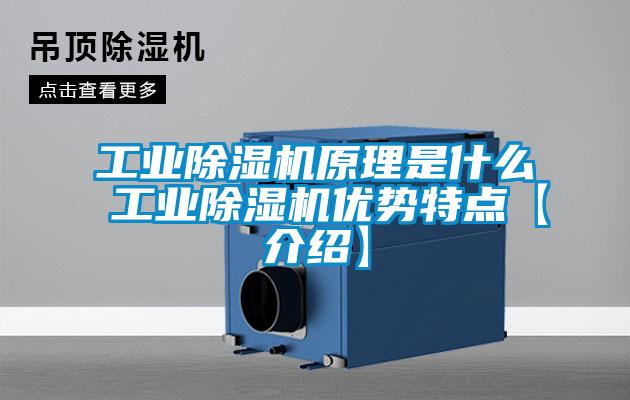星空娱乐彩票是什么网站原理是什么 星空娱乐彩票是什么网站优势特点【介绍】