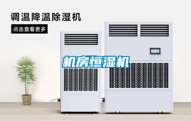 机房恒湿机