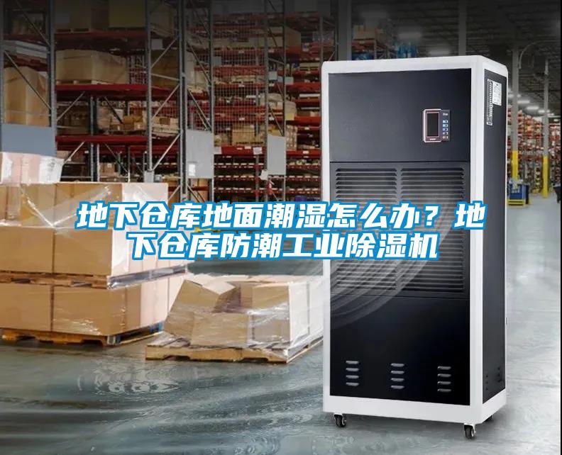 地下仓库地面潮湿怎么办？地下仓库防潮星空娱乐彩票是什么网站