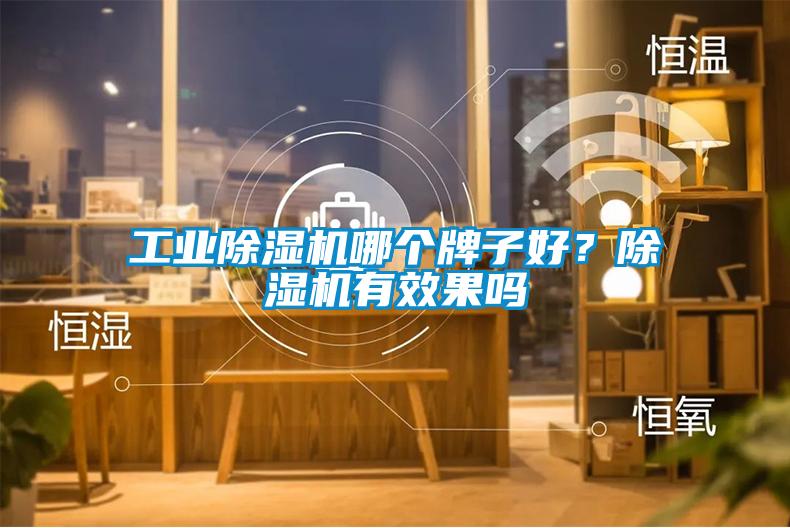 星空娱乐彩票是什么网站哪个牌子好？除湿机有效果吗