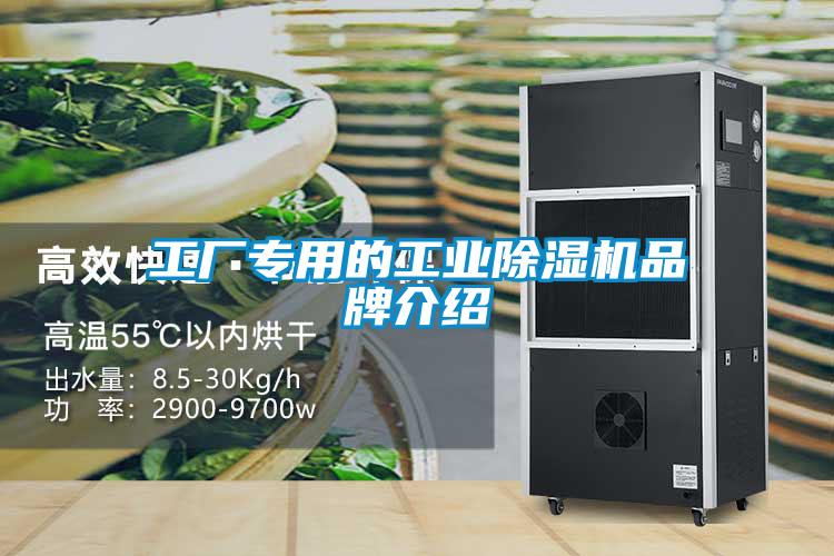 工厂专用的星空娱乐彩票是什么网站品牌介绍