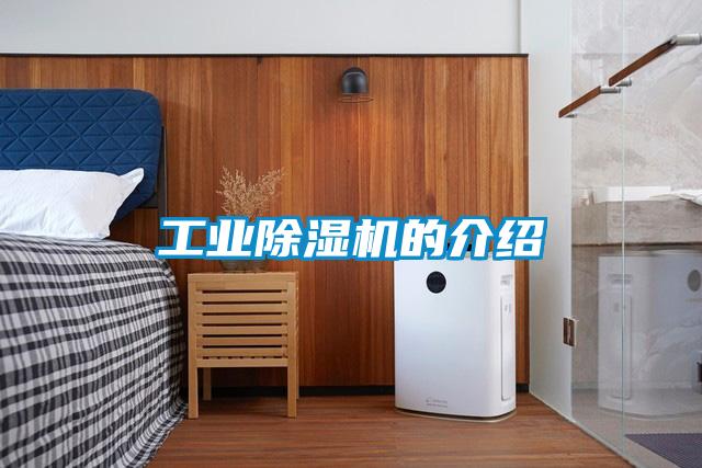 星空娱乐彩票是什么网站的介绍