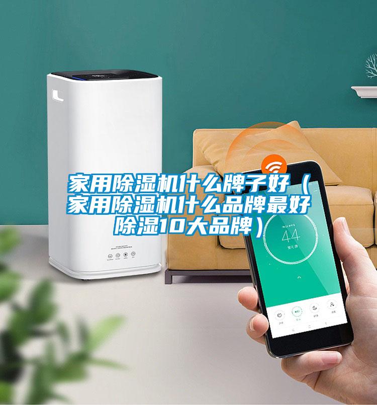 星空体育app官网什么牌子好（星空体育app官网什么品牌最好除湿10大品牌）