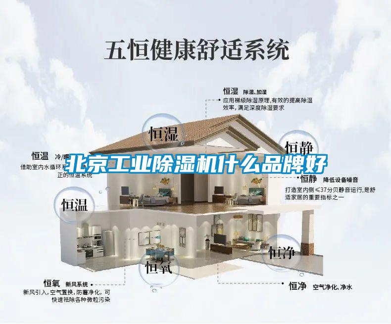 北京星空娱乐彩票是什么网站什么品牌好