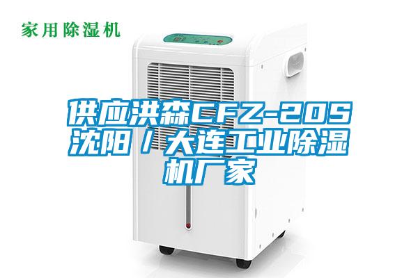 供应洪森CFZ-20S沈阳／大连星空娱乐彩票是什么网站厂家