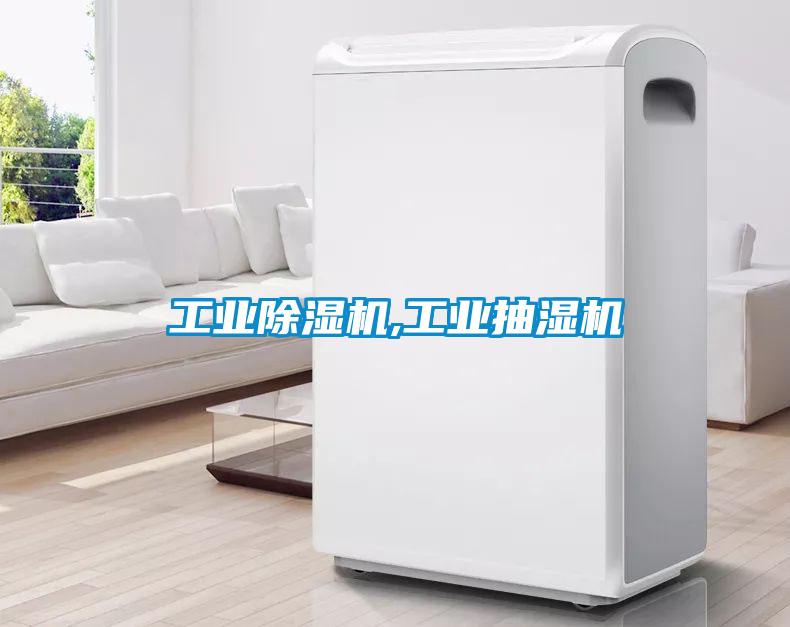 星空娱乐彩票是什么网站,工业抽湿机