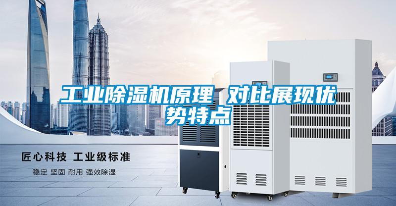 星空娱乐彩票是什么网站原理 对比展现优势特点