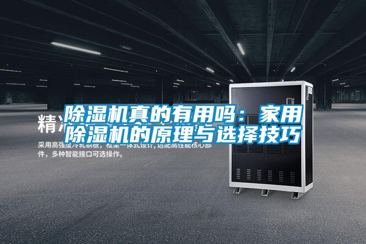 除湿机真的有用吗：星空体育app官网的原理与选择技巧