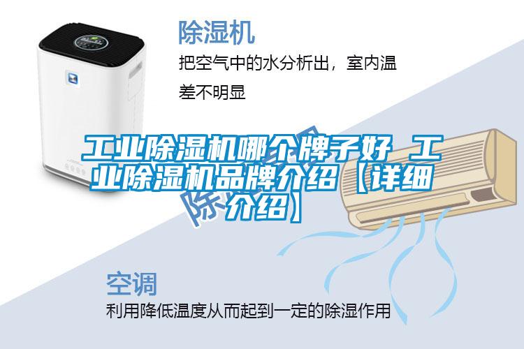 星空娱乐彩票是什么网站哪个牌子好 星空娱乐彩票是什么网站品牌介绍【详细介绍】