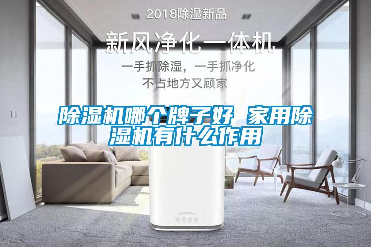 除湿机哪个牌子好 星空体育app官网有什么作用
