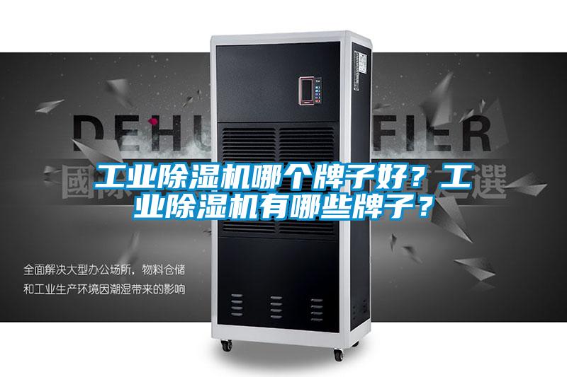 星空娱乐彩票是什么网站哪个牌子好？星空娱乐彩票是什么网站有哪些牌子？