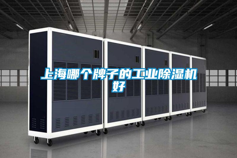 上海哪个牌子的星空娱乐彩票是什么网站好