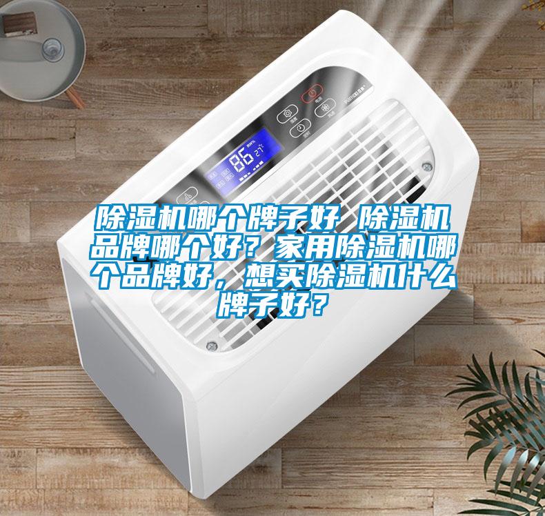 除湿机哪个牌子好 除湿机品牌哪个好？星空体育app官网哪个品牌好，想买除湿机什么牌子好？