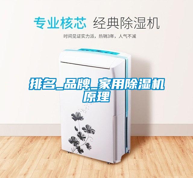 排名_品牌_星空体育app官网原理