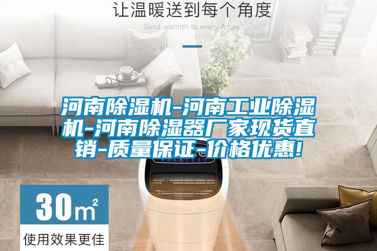 河南除湿机-河南星空娱乐彩票是什么网站-河南除湿器厂家现货直销-质量保证-价格优惠!
