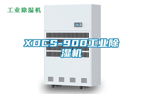 XDCS-900星空娱乐彩票是什么网站