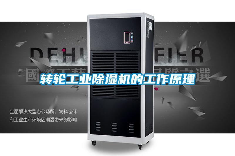 转轮星空娱乐彩票是什么网站的工作原理