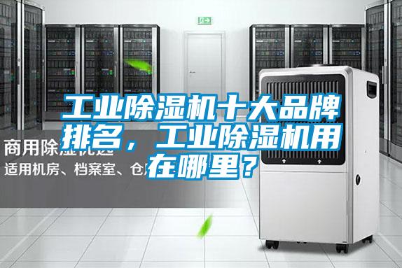 星空娱乐彩票是什么网站十大品牌排名，星空娱乐彩票是什么网站用在哪里？
